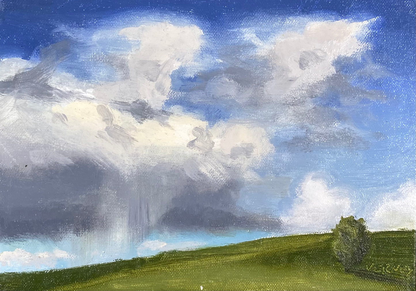 Spring Shower