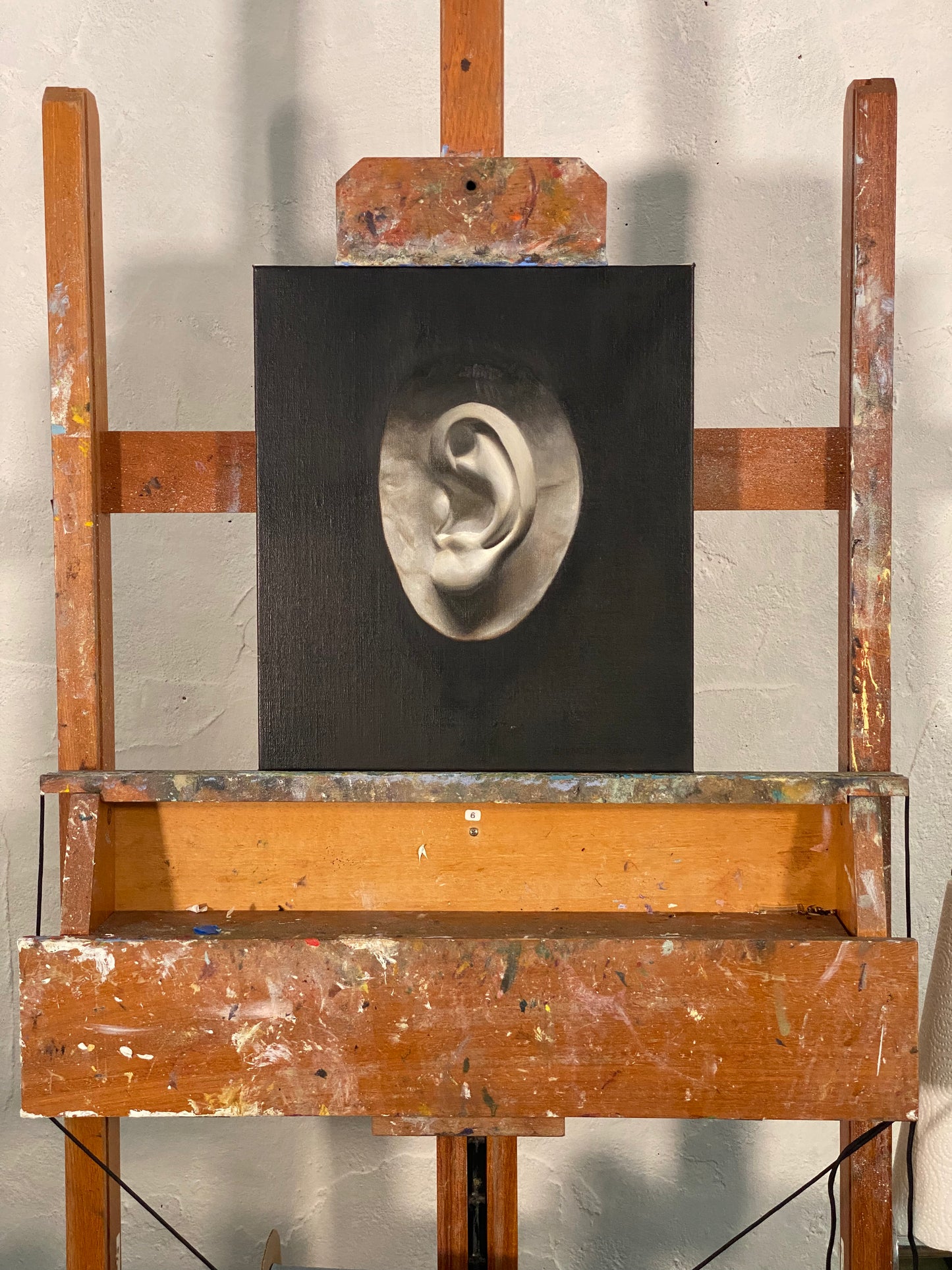 Plaster Ear, grisaille study