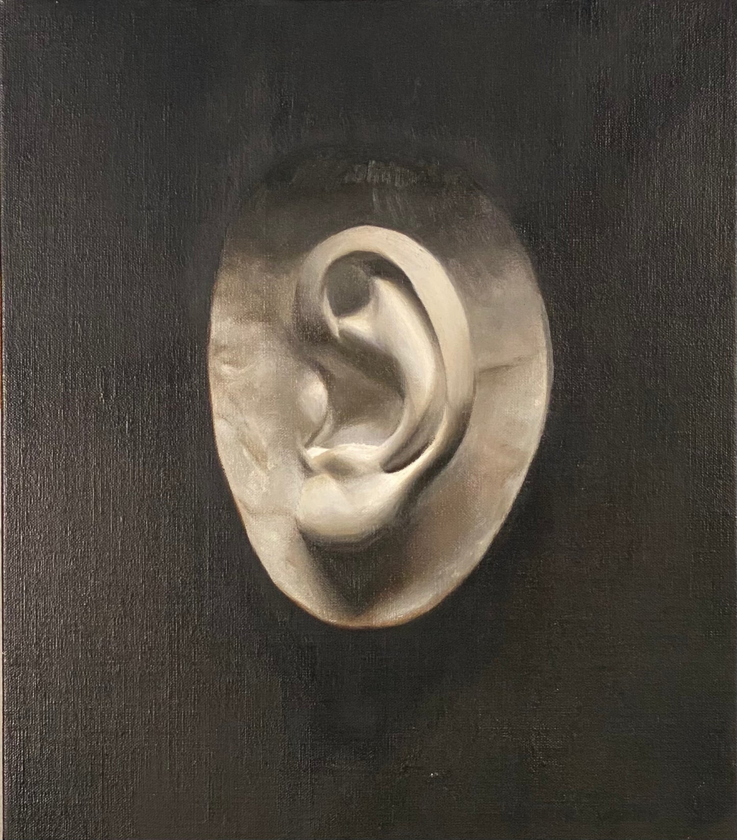 Plaster Ear, grisaille study