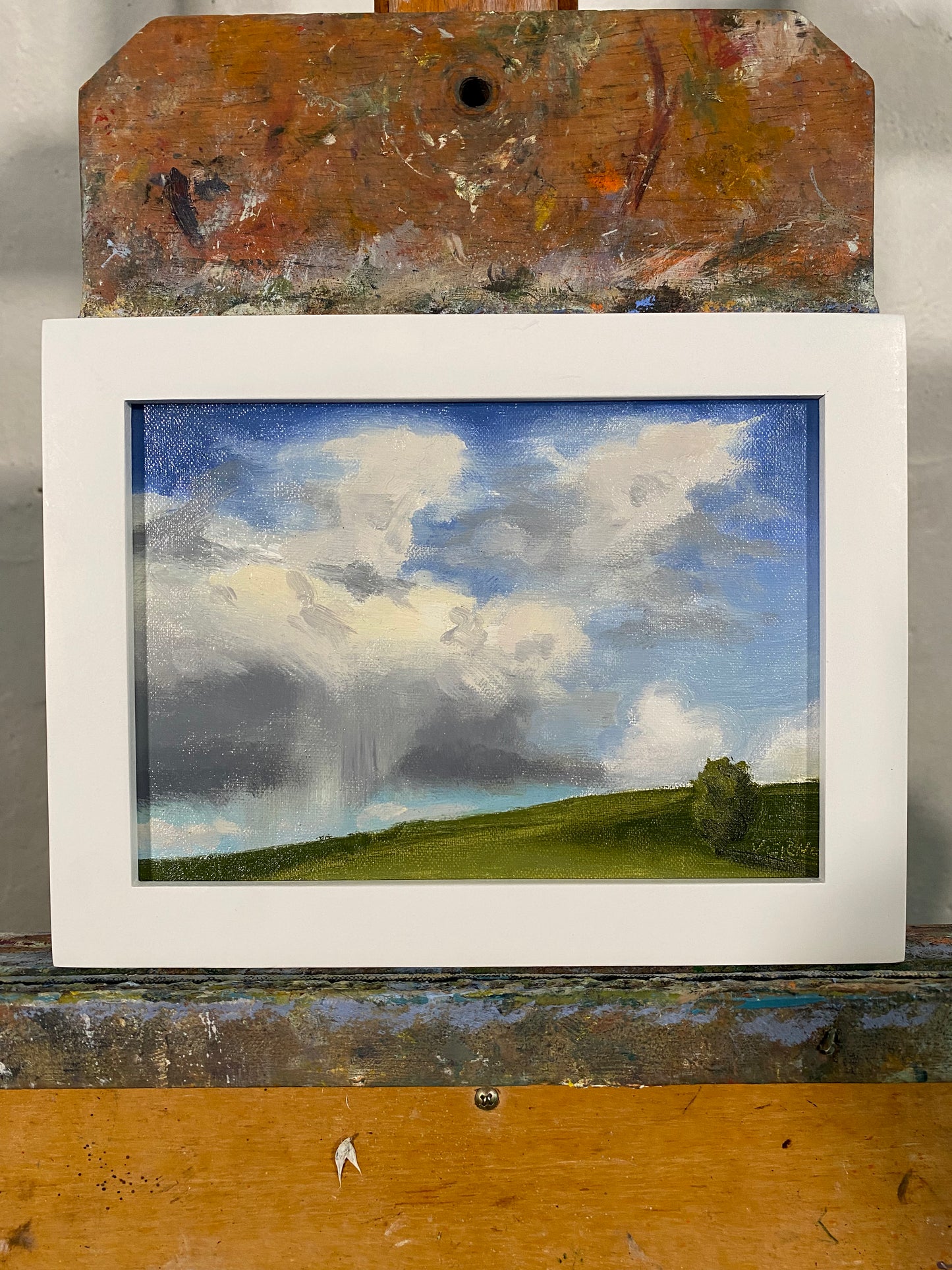 Spring Shower