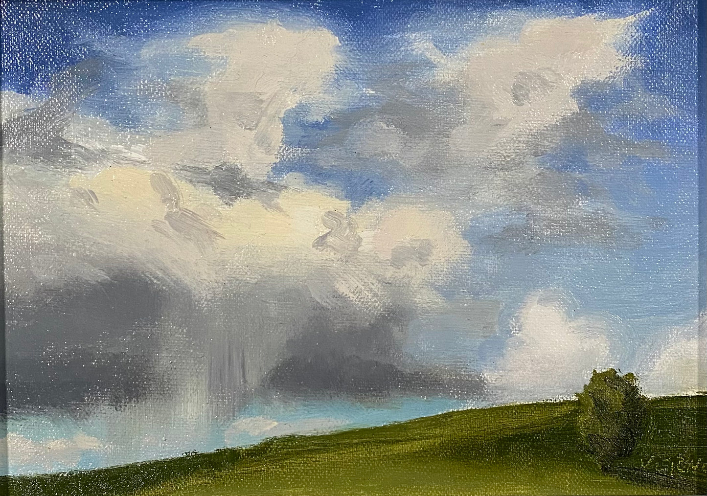 Spring Shower