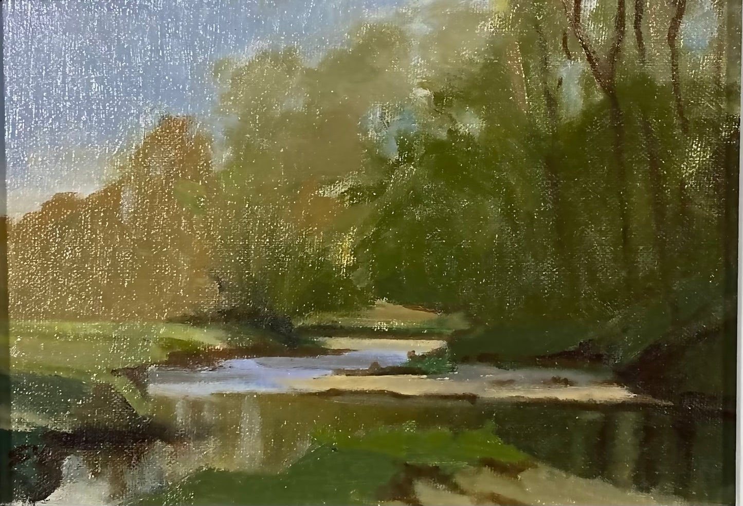 Buck Run River Study