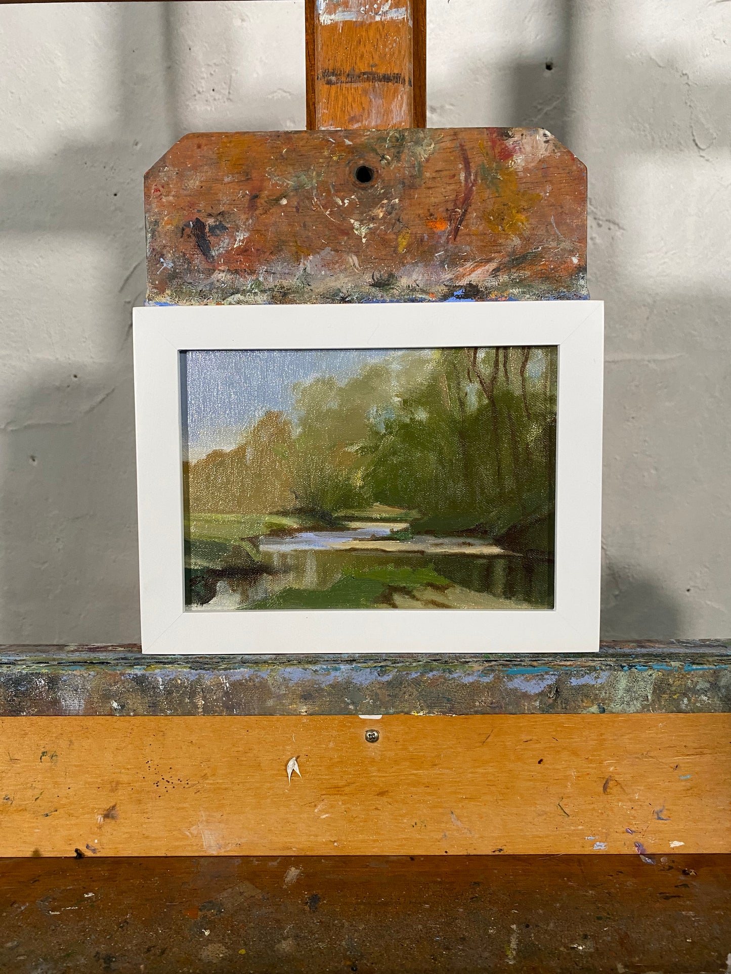 Buck Run River Study