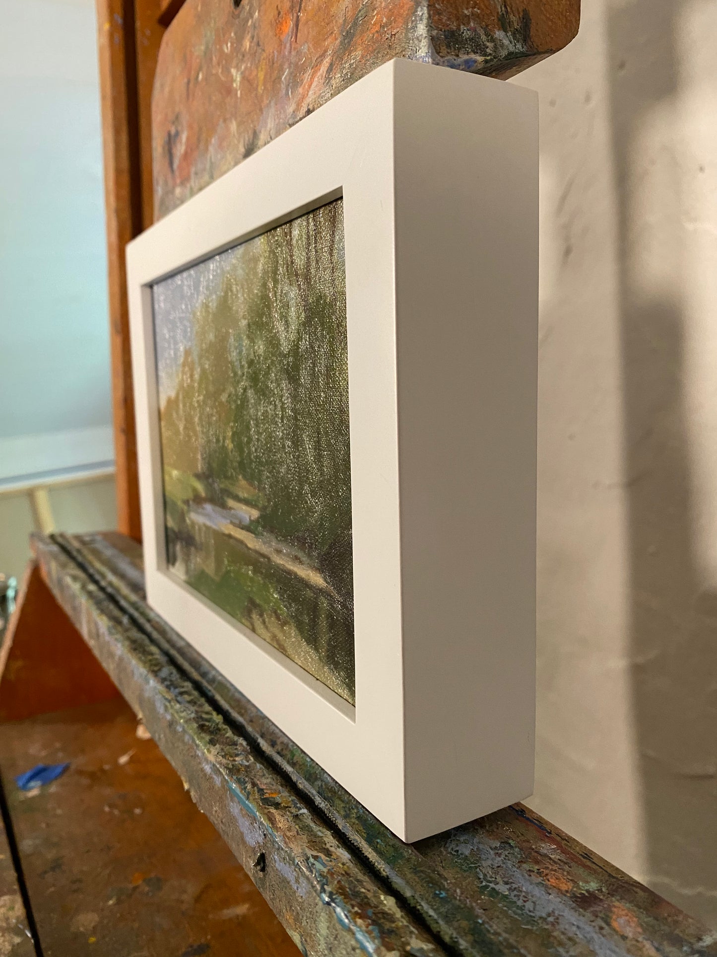 Buck Run River Study