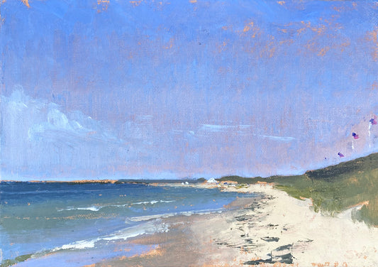 Steps Beach
