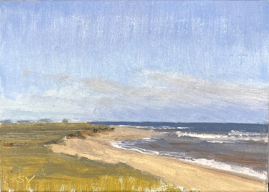 Red Barn Beach, East